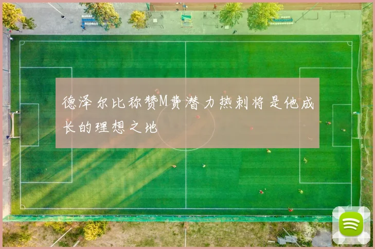 德泽尔比称赞M费潜力热刺将是他成长的理想之地