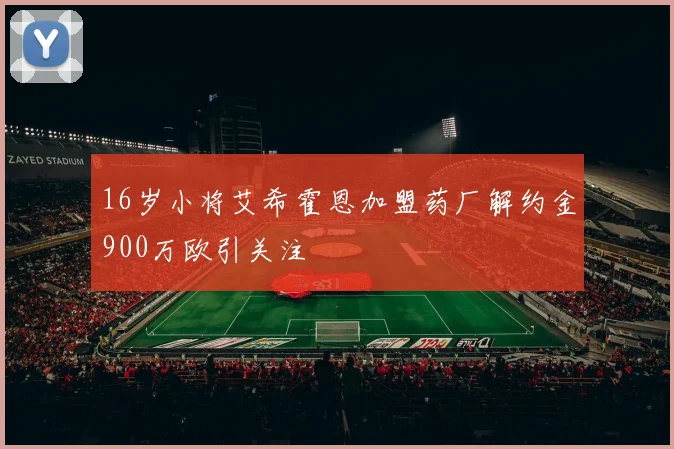 16岁小将艾希霍恩加盟药厂解约金900万欧引关注