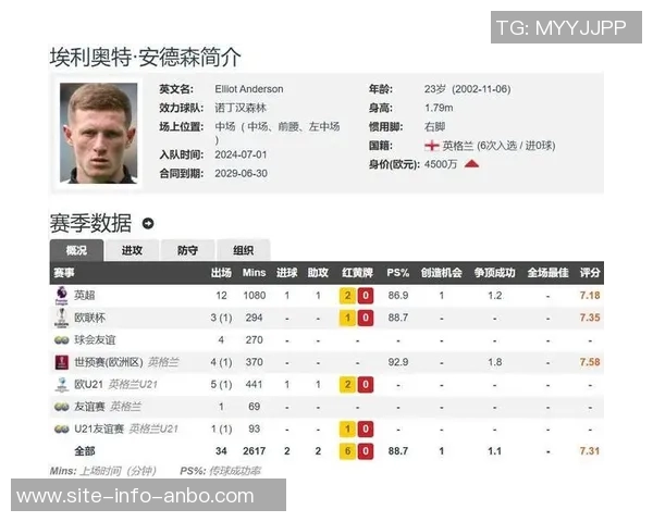 曼联明夏引援目标锁定两名中场埃利奥特安德森成为首选球员